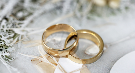 ആദർശ പൊരുത്തം